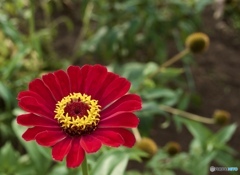 13518F35-F329-4159-ABD3-132A75D630EA