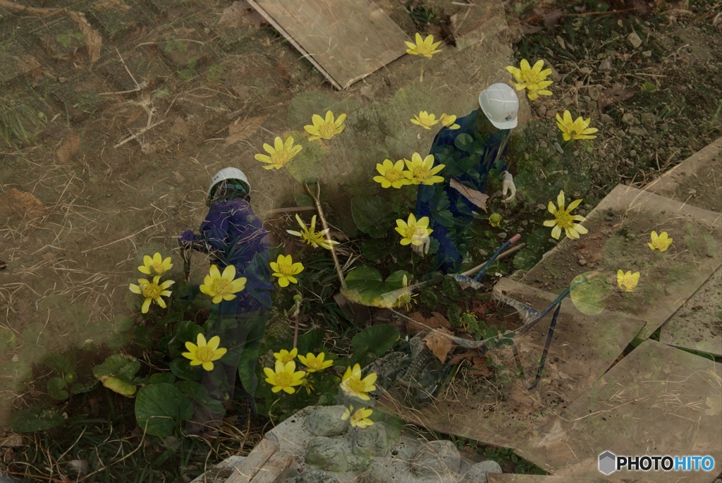 B6E8F325-C1DC-413E-92C0-59EE16FF2C44