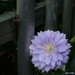 FECFE7BF-9777-4628-BA49-D099186FB85C