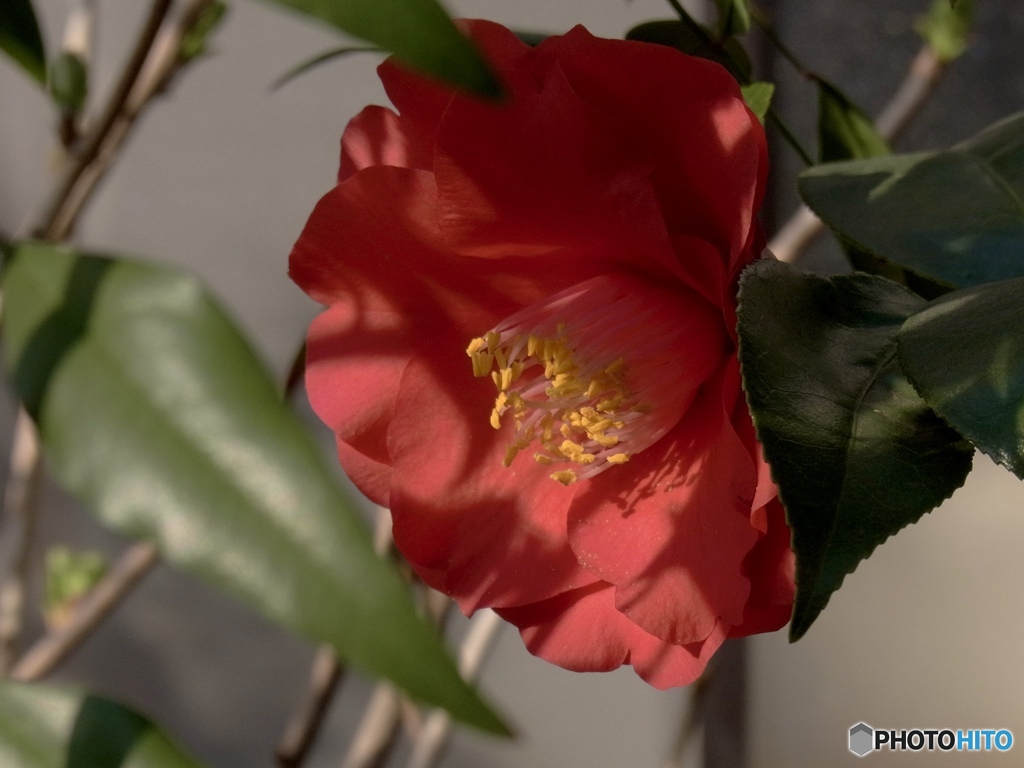 7090D4F0-7509-46DF-8F1B-D1E56B50B986