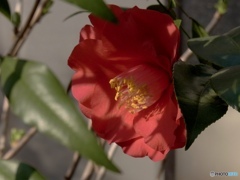7090D4F0-7509-46DF-8F1B-D1E56B50B986