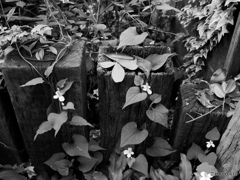 72AE3FD8-B25A-430E-8786-E0D3E87560E1