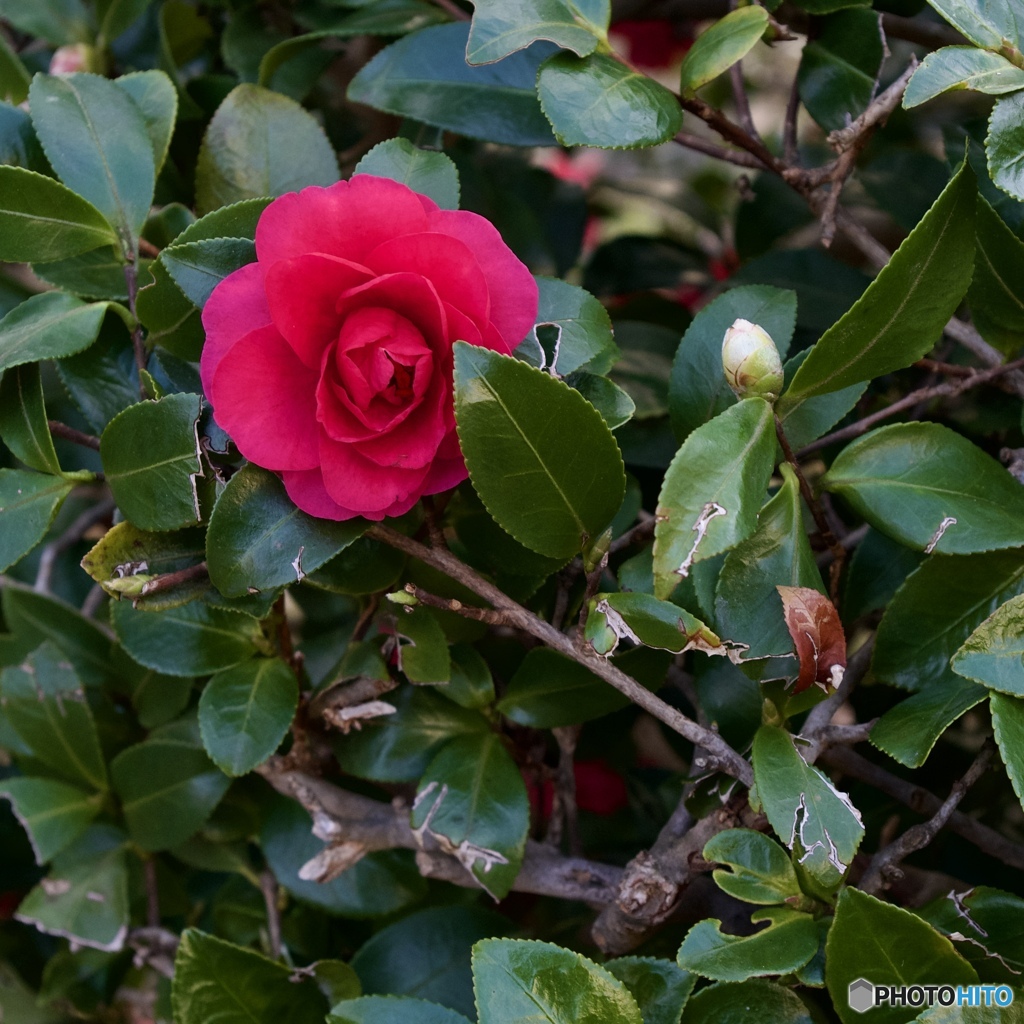 3905F66E-5650-47F9-9E51-37E58670AE9A