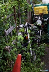 103D55A5-479A-4C0D-A376-B88641253C0A