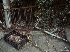 910E67E9-07B2-4DC3-9295-CF3B30FB9665