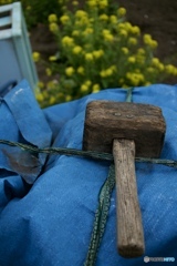 マイティ・ソー