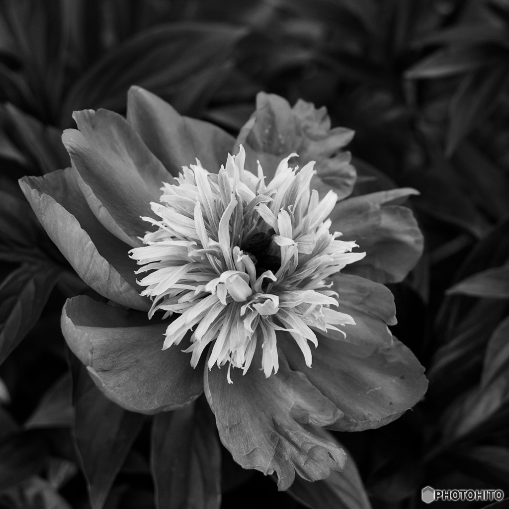 DD9E71D1-8757-4EAA-9461-4586F25C9E37