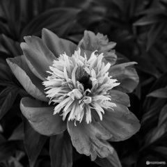 DD9E71D1-8757-4EAA-9461-4586F25C9E37