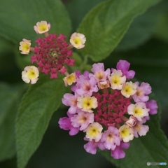 5560819B-A15A-41CC-B7F7-DCA7736D5DF4