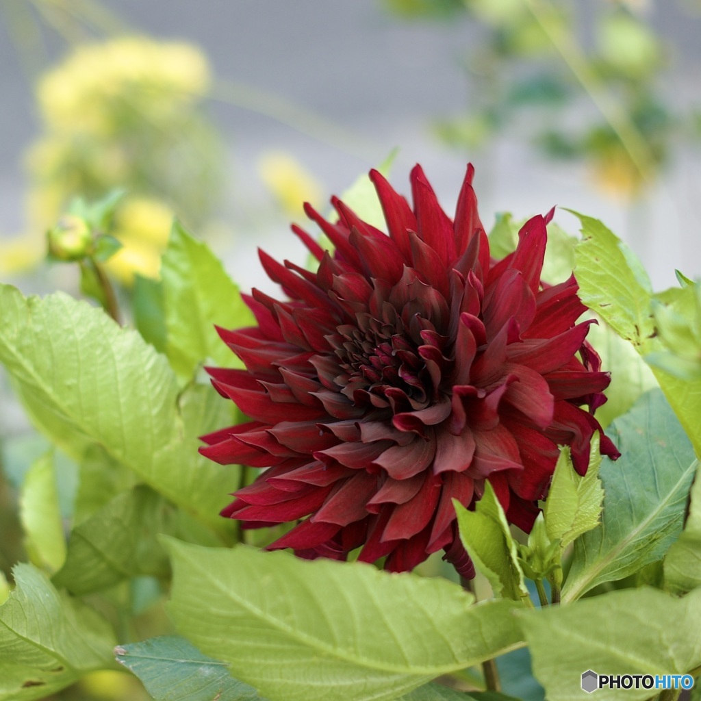 4C4710C8-9E99-4113-996C-8EF78EC24D6A