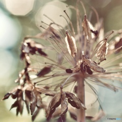 3BF7FD00-8B8C-47C4-8BA7-D9F881ED867D