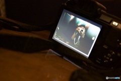 16438624-8DFF-4FEF-8748-E257B845F4C1