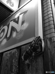 んON照かりエビ