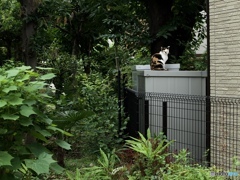 537B87F9-F312-4C42-A997-B6E5AD5719FD