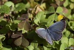 9AD5E60D-E53E-405C-9C17-0512F96544CF