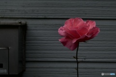 77F9689B-212D-42B3-AAC7-C774D29D9B07