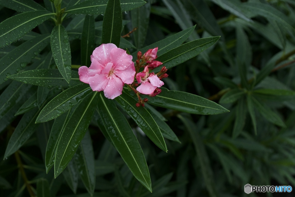 789185C3-3C39-4F3A-A0D6-7A7D01274802