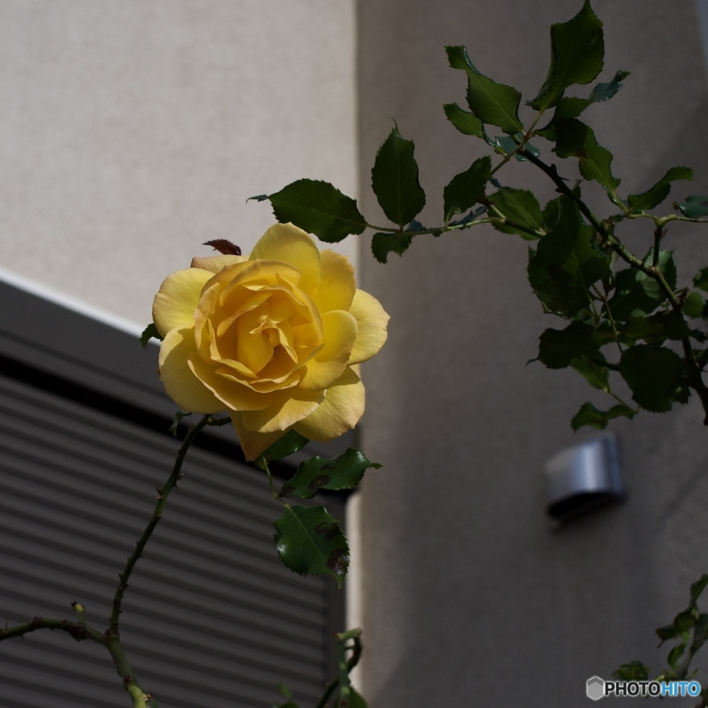 BF67D234-FF88-4452-B26F-300FD57CA274