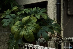 Enjoy even in the rain