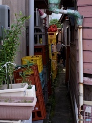 EF7B5A6D-1B4E-4E3B-BDA4-0806EC202AD4