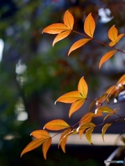 10B3C021-C11C-4AEA-8925-57DF1A8A01D9