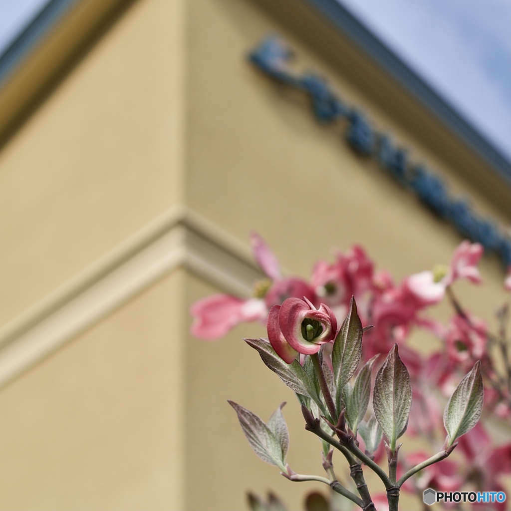 F729D212-6C10-40D6-BF7B-C7AA2ABD6717