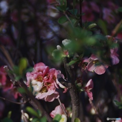 F5169AC3-1575-466E-B2D5-D2B6055DDF41