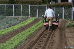 155A3087-9489-43DB-A2D7-E93A11D543EF