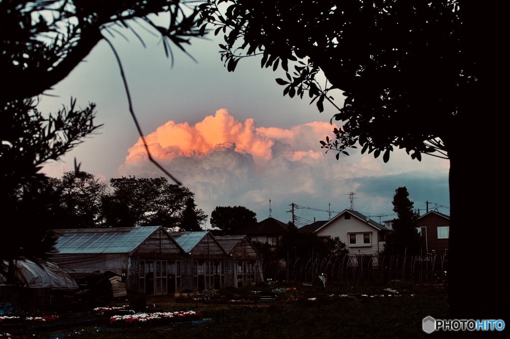 16C5C5B7-DCA3-42F0-9B8B-4002FB1B4216