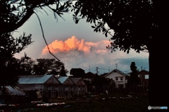 16C5C5B7-DCA3-42F0-9B8B-4002FB1B4216