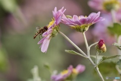 E488A9B7-02E6-4906-A1A6-B735389E185D