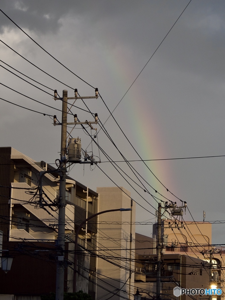 D53A9436-C77C-4CF7-BA97-BF608BF67893