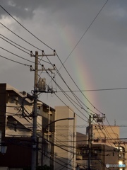 D53A9436-C77C-4CF7-BA97-BF608BF67893