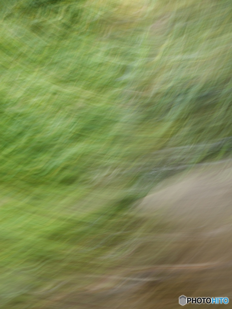 7968C763-1318-4D40-8B78-51C29EFE05D3