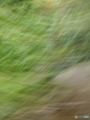 7968C763-1318-4D40-8B78-51C29EFE05D3