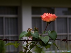 2C8F2796-80D2-4DC9-8737-B598A77C2B38