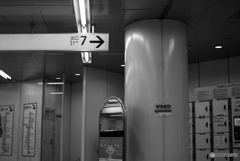 698CCE6F-B286-43B6-A258-CE6E9FB6DF0B