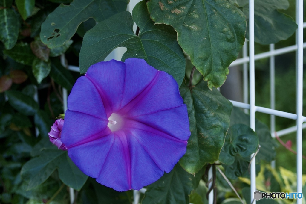 9C048AC9-40F1-4B2C-801B-CE2F67FC99B9