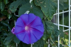 9C048AC9-40F1-4B2C-801B-CE2F67FC99B9