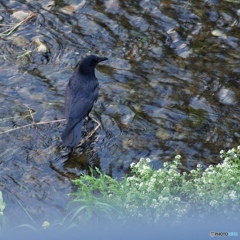 4C9CF2E9-25A4-45D3-9310-B5ED423C1218