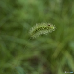 B75F2D06-FFF2-4446-86CA-9EBCEE05F727