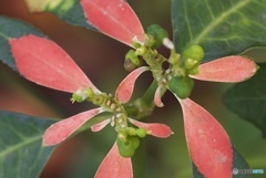 79ABD42D-8781-4E6E-B377-8D772B2C81FE