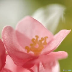 3A7FF068-4D3B-40D9-AF90-2FFFDD835502