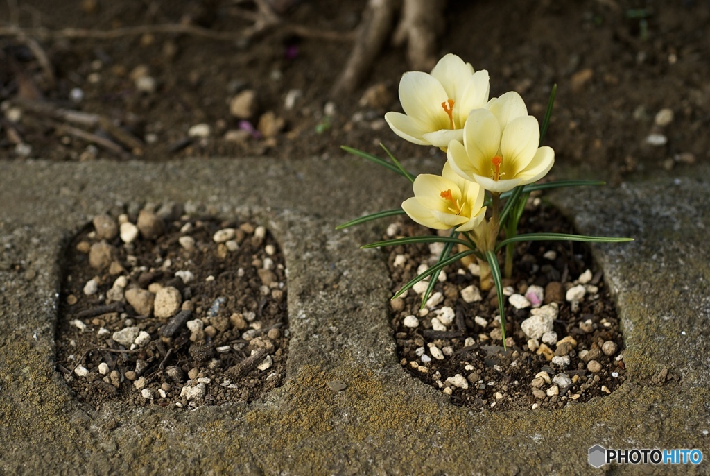 3C33FA78-47CD-446B-8F1D-4B174D576FBB