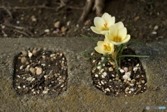 3C33FA78-47CD-446B-8F1D-4B174D576FBB