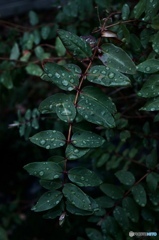 1DF02EB5-58F0-4827-AD46-ED87950A7D82