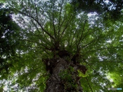 5020F48A-8396-4B61-A00F-05625887DF1D