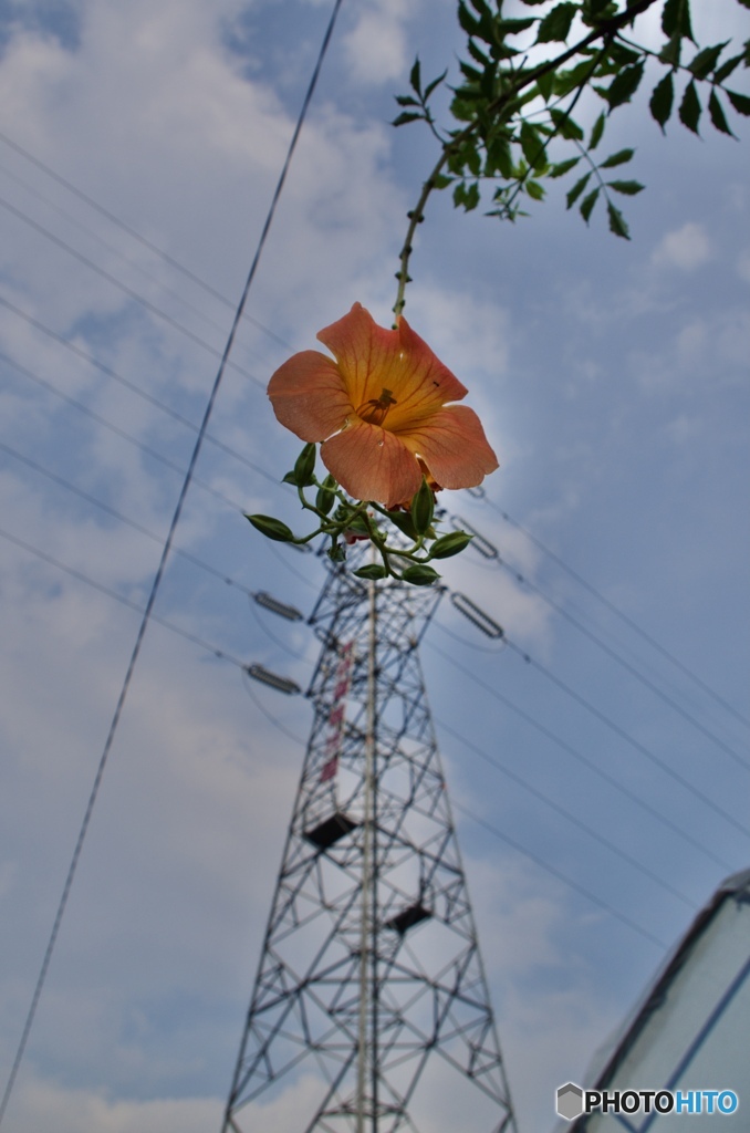 F93FB924-FCB1-46CA-AB6C-AC251183E189