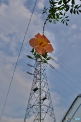 F93FB924-FCB1-46CA-AB6C-AC251183E189