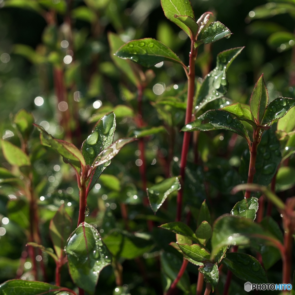 B3926AE3-D5D1-4B59-9ABF-B09507B75FCC